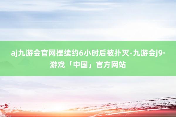 aj九游会官网捏续约6小时后被扑灭-九游会j9·游戏「中国」官方网站